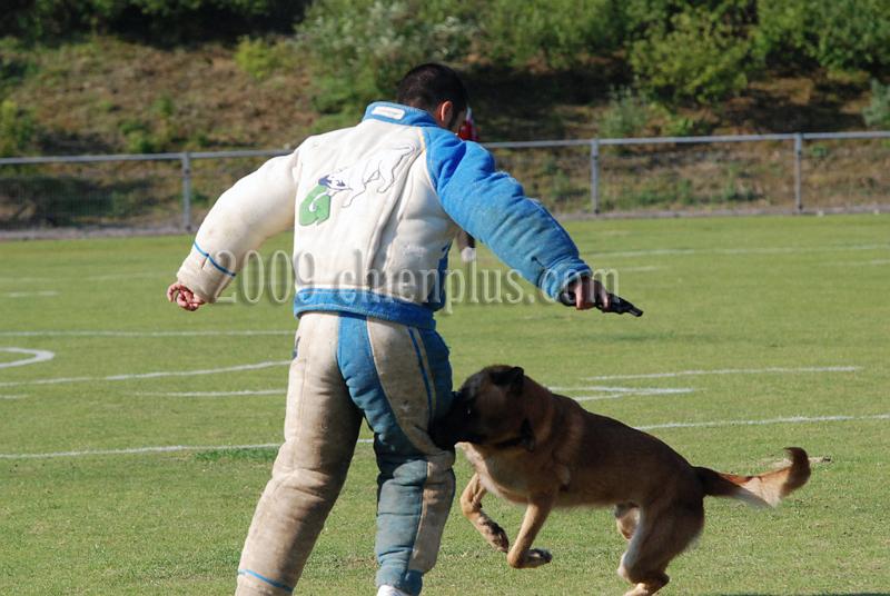 3 EME SELECTIF 2009 GRANDE SYNTHE 327.jpg